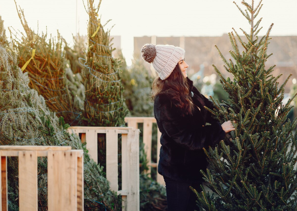 Помогите природе: В Люберцах продолжают работать 10 пунктов приема новогодних елок для переработки
