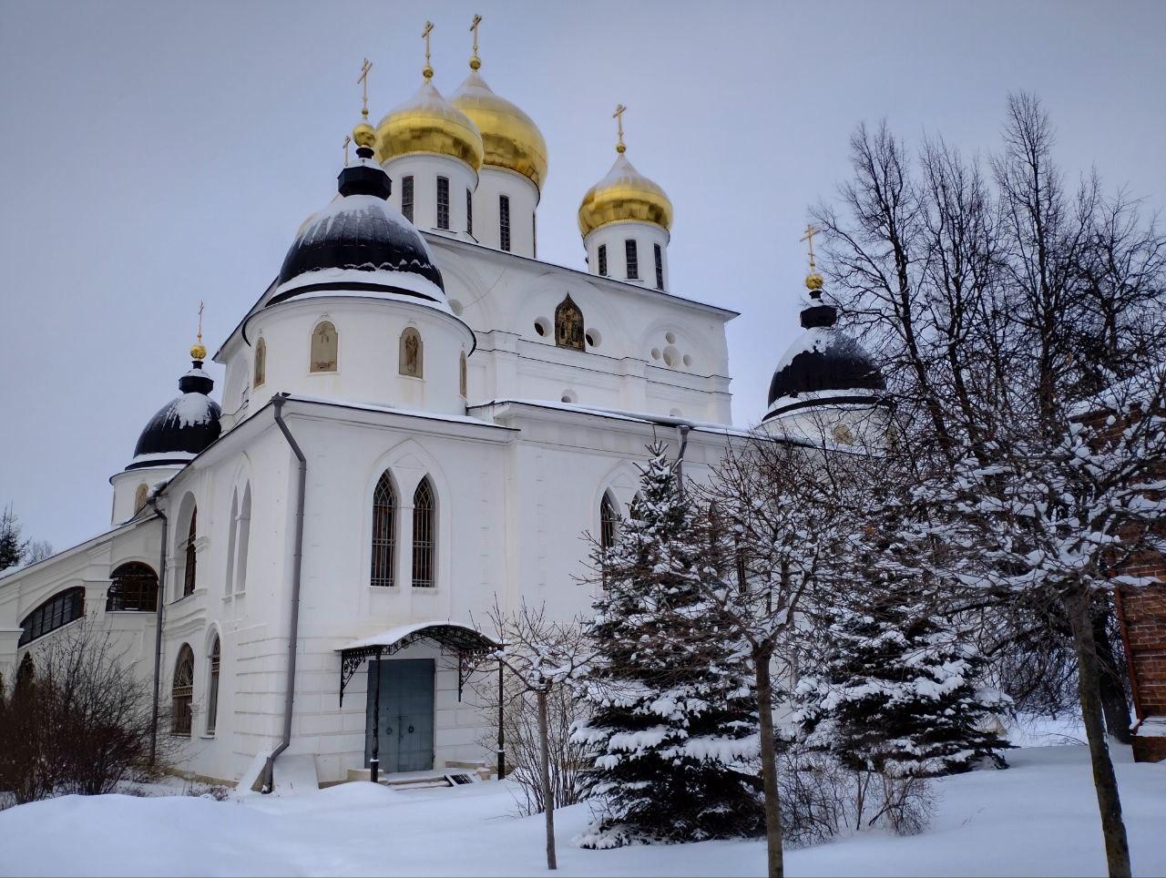 Пушкинские долголеты узнали много интересного о культуре и истории Дмитрова