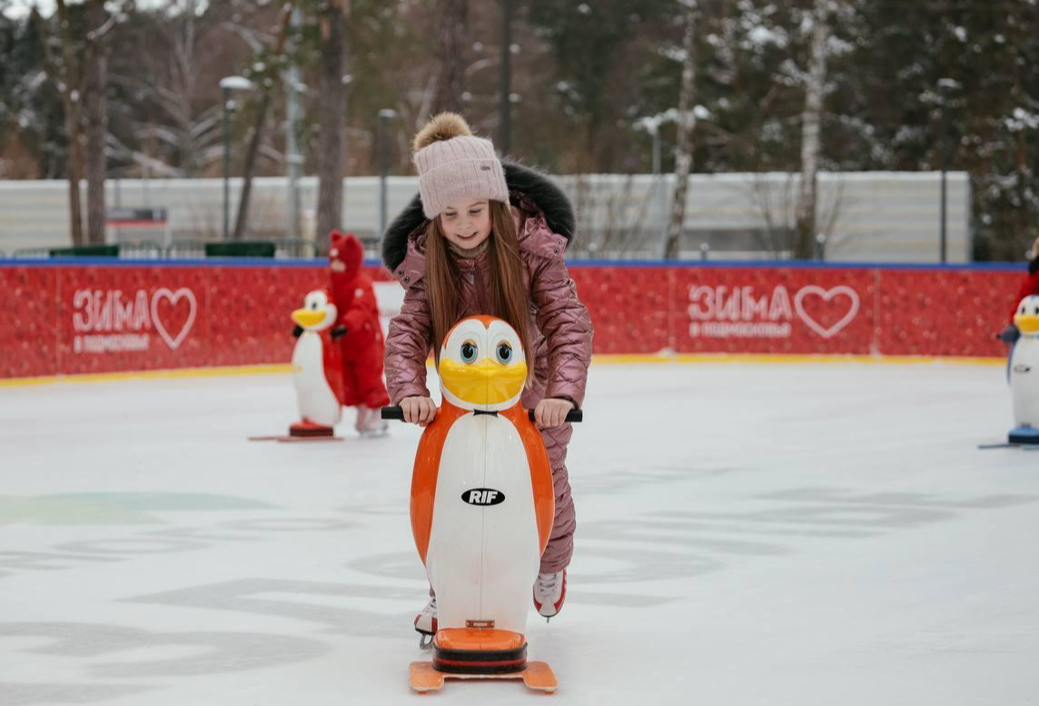 На катке в парке Малевича можно взять в аренду «пингвина-помощника»