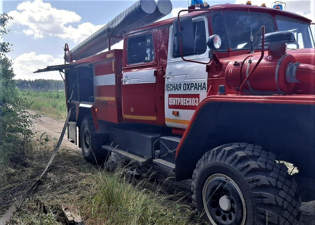 В Волоколамском лесничестве открылись свободные вакансии