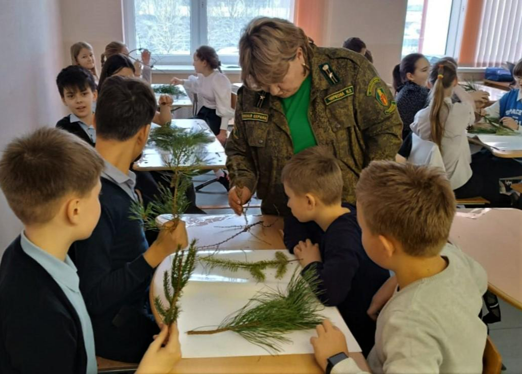 Можайские школьники научились определять хвойные деревья