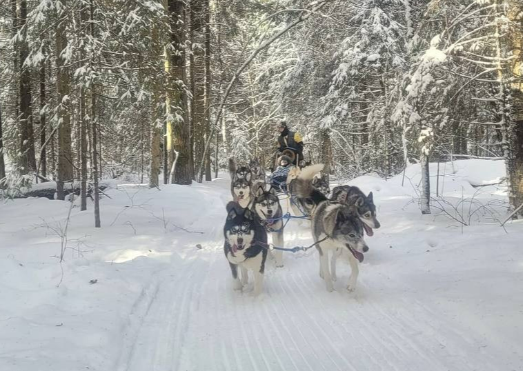 Рузский городской округ отдохнет от морозов