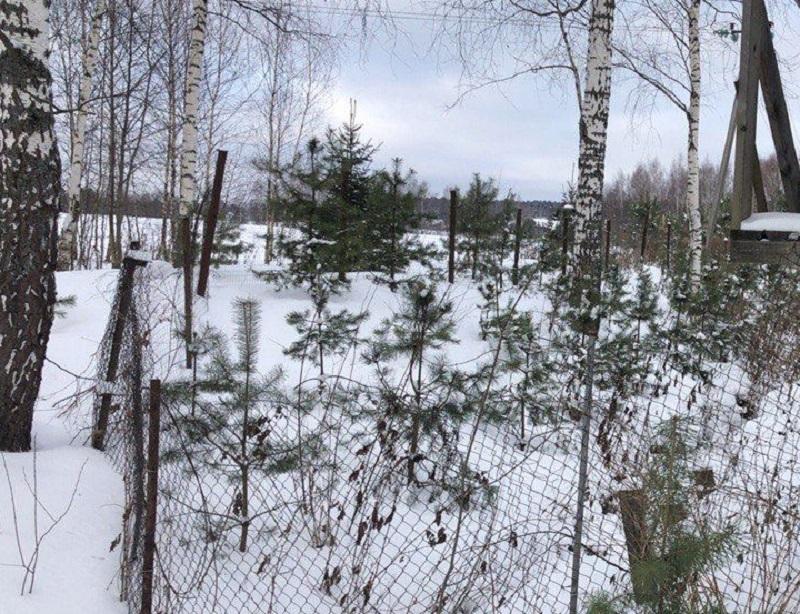 В деревне Санниково требуют восстановить свободный доступ к водному объекту