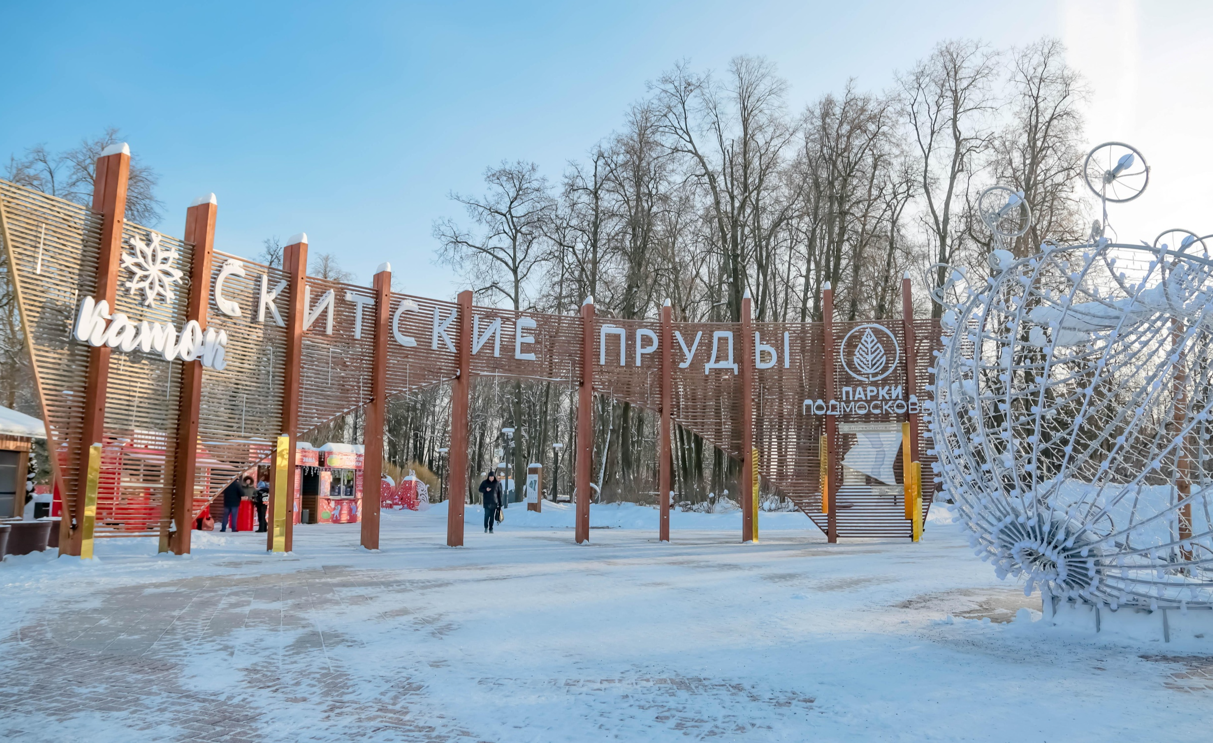 Скейт-парк и памп-трек в парке «Скитские пруды» стали местом концентрации  адреналина | REGIONS.RU / Сергиев Посад