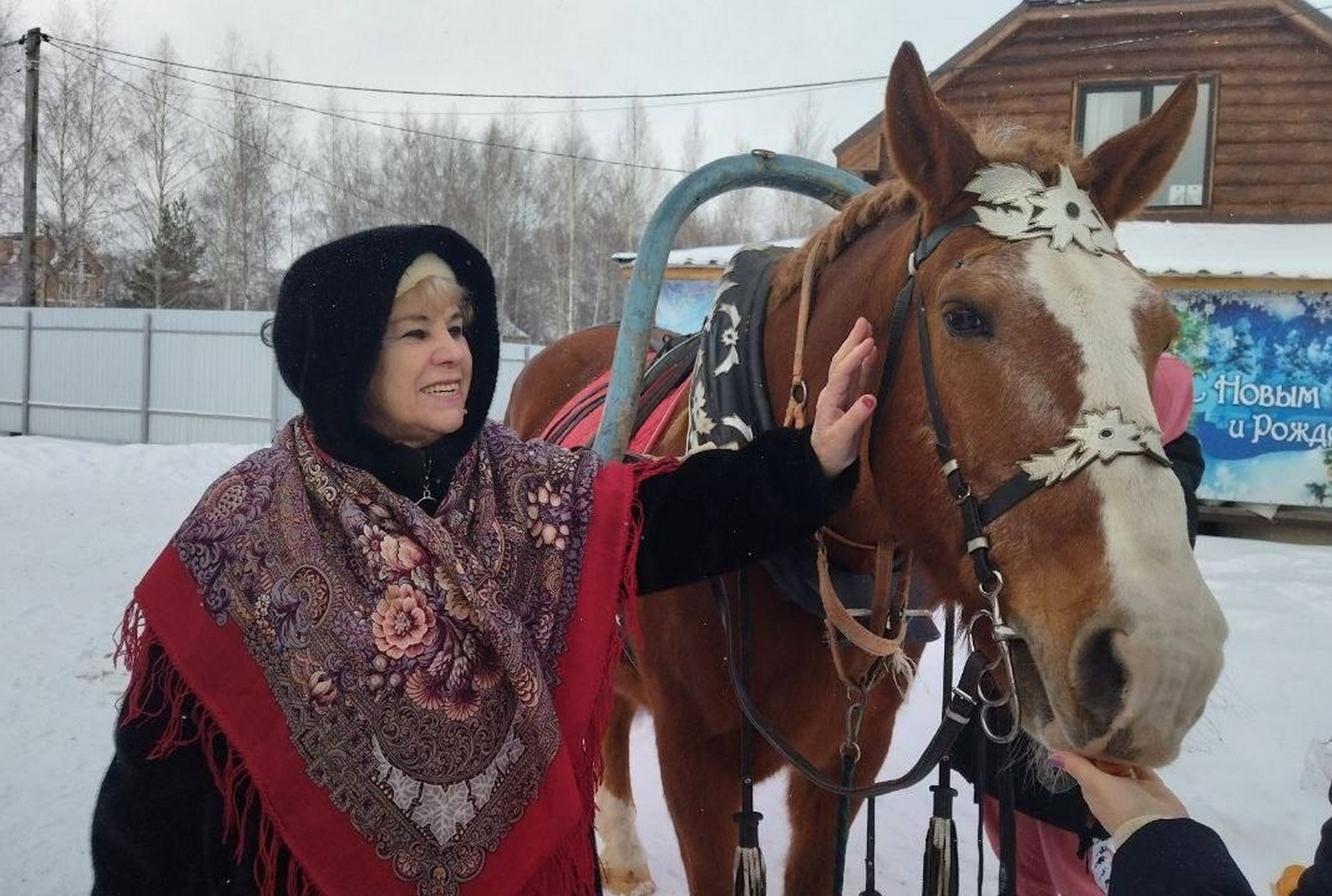 Активисты конного центра «Лучик добра» и Российского союза сельской молодежи разнообразили досуг ветеранов