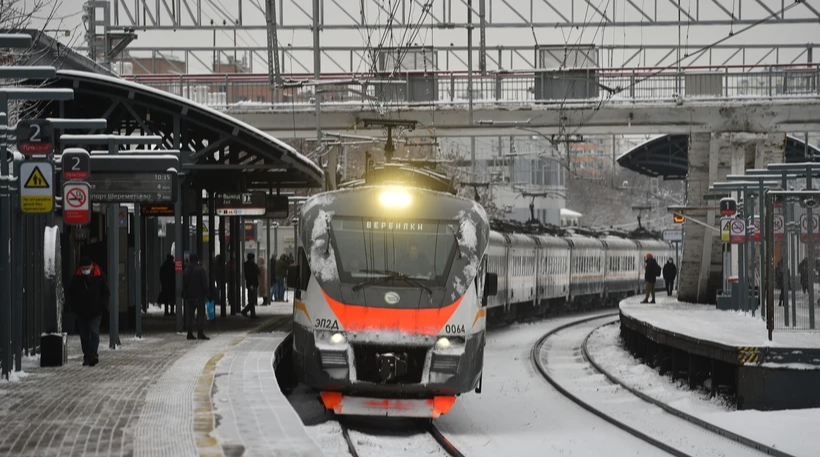 Феномен кота Твикса: в Подмосковье из электрички выбросили карликового пса