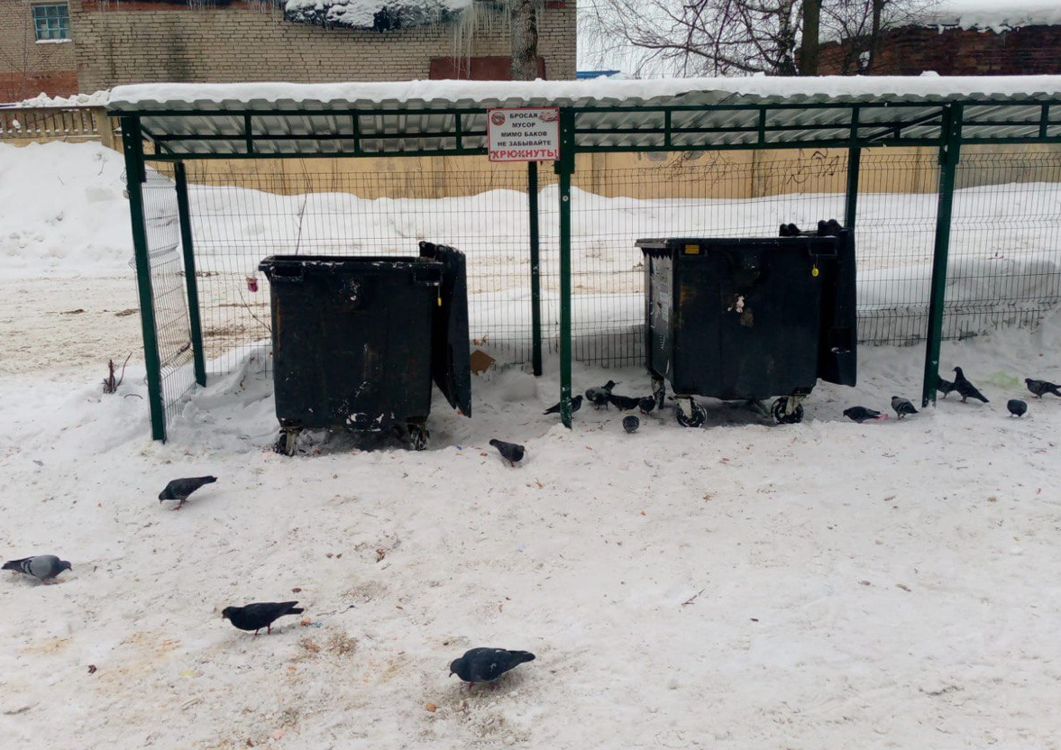 Контейнерную площадку для сбора ТБО на Московском шоссе привели в  нормативное состояние | REGIONS.RU / Сергиев Посад