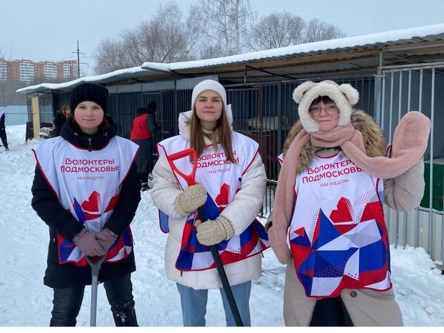 Ни дня без доброго дела. Волонтеры Серпухова ежедневно помогают нуждающимся