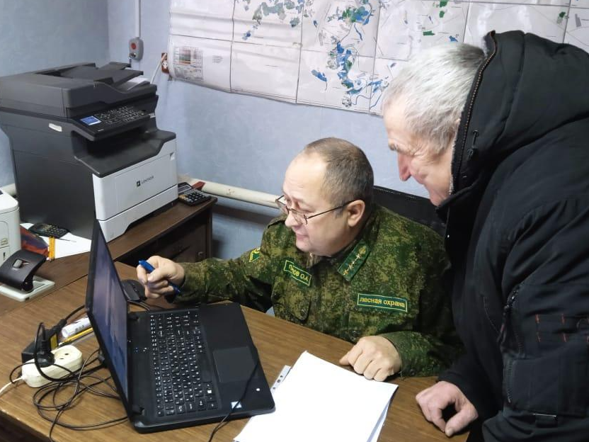 В местных лесах можно собирать валежник, но рубка сухостоя запрещена, рассказывают лесничие