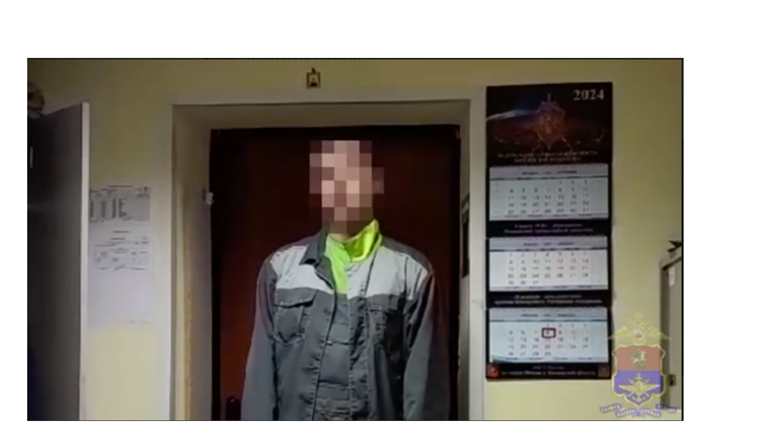 «Сожалею о содеянном»: сотрудник аэропорта Жуковского похитил яблочный гаджет из багажа пассажира
