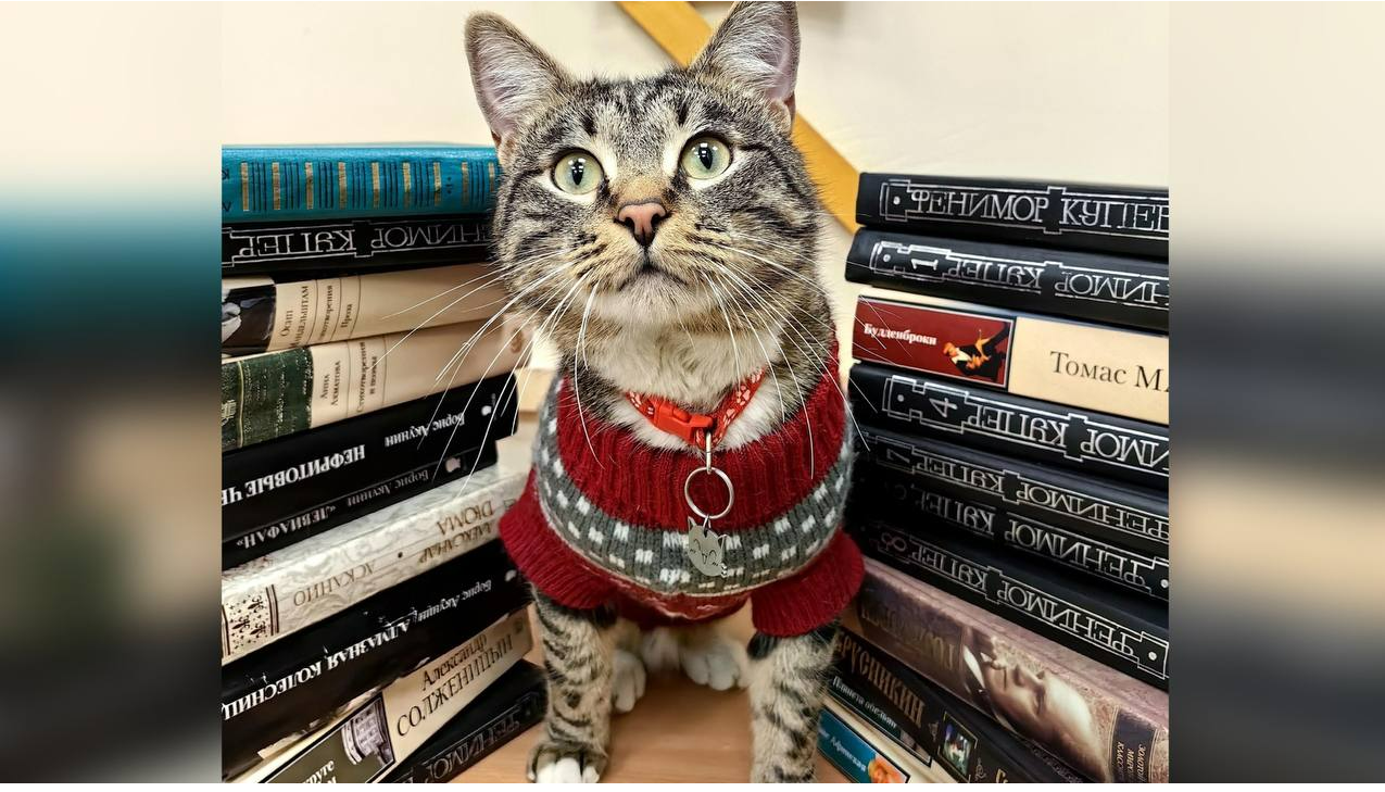 Кот Модест из парка Клина приглашает жителей обменяться книгами