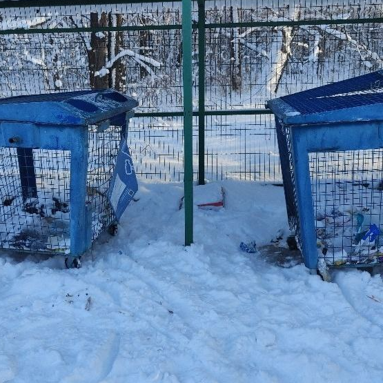 Контейнерную площадку в деревне Новощапово привели в порядок по просьбе жителей