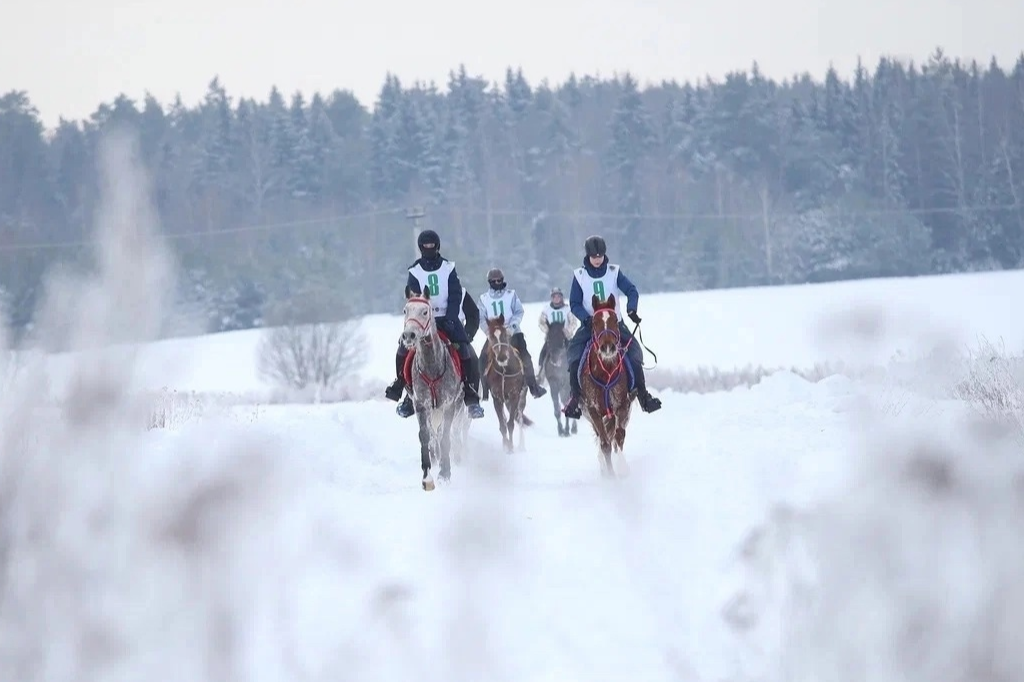 Триста тысяч рублей рызыграют на турнире по конным пробегам в Ступине