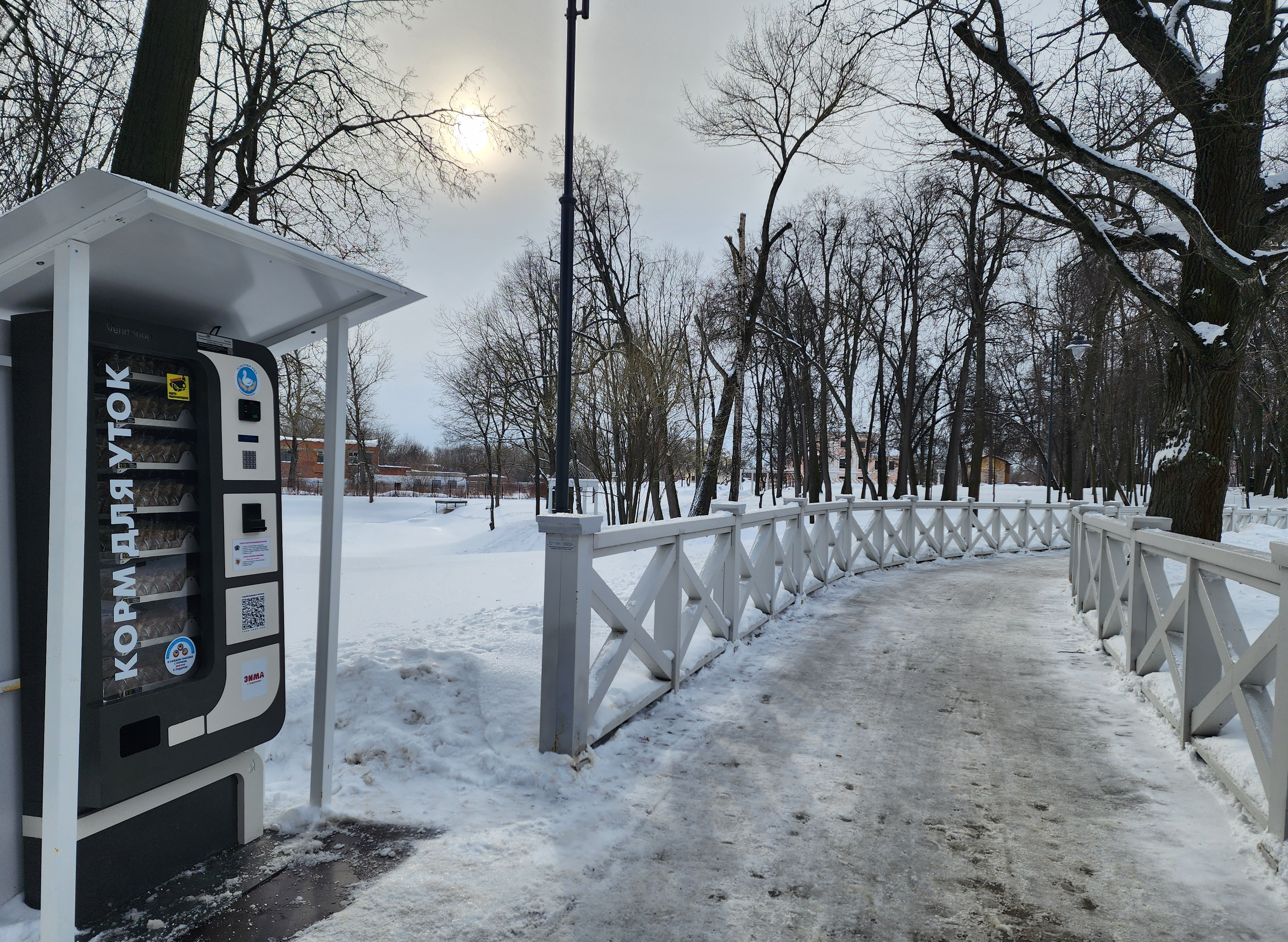 Воскресенский парк Кривякино привлекает гостей округа и местных жителей |  REGIONS.RU / Воскресенск