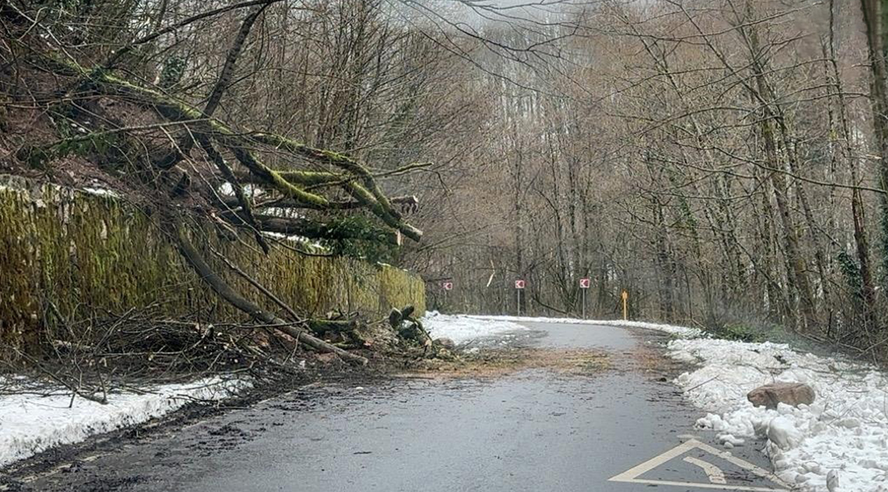 «Скоро дома со склона поползут»: сель перекрыл проезд в Сочи