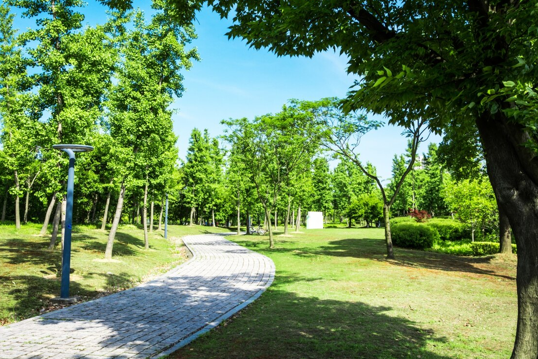 В  Люберцах более 40 гектаров благоустроят в парковую зону
