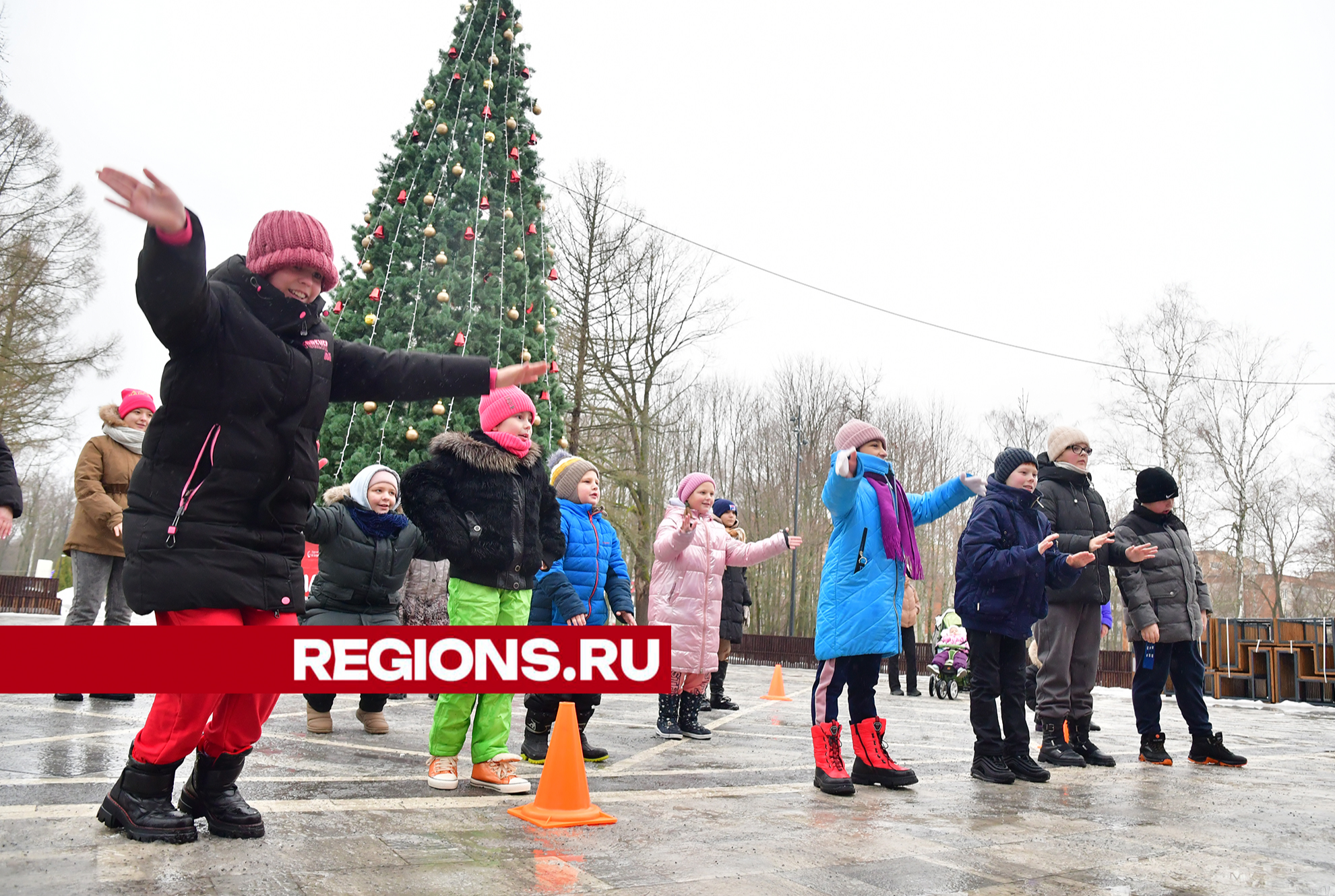 Старый Новый год отметят в ступинских парках