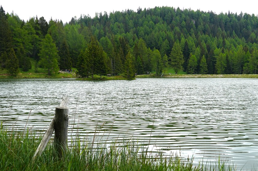 Два пруда в Наро-Фоминском округе очистят в 2024 году в рамках программы «100 прудов и озер»