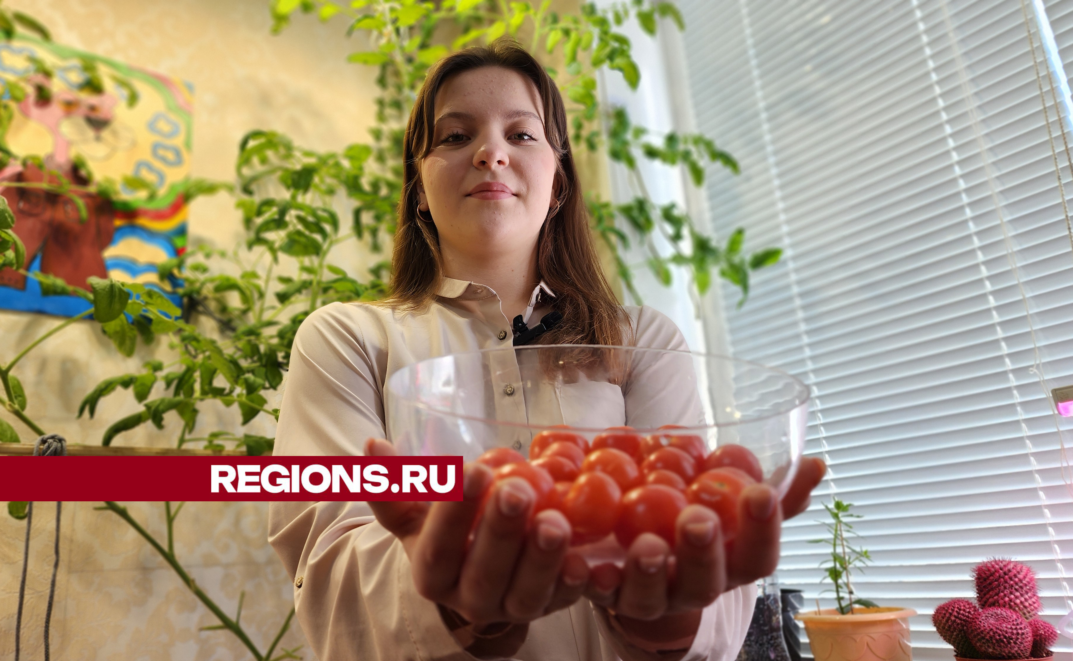Школьница из Ступина вырастила помидоры на собственной гидропонной установке