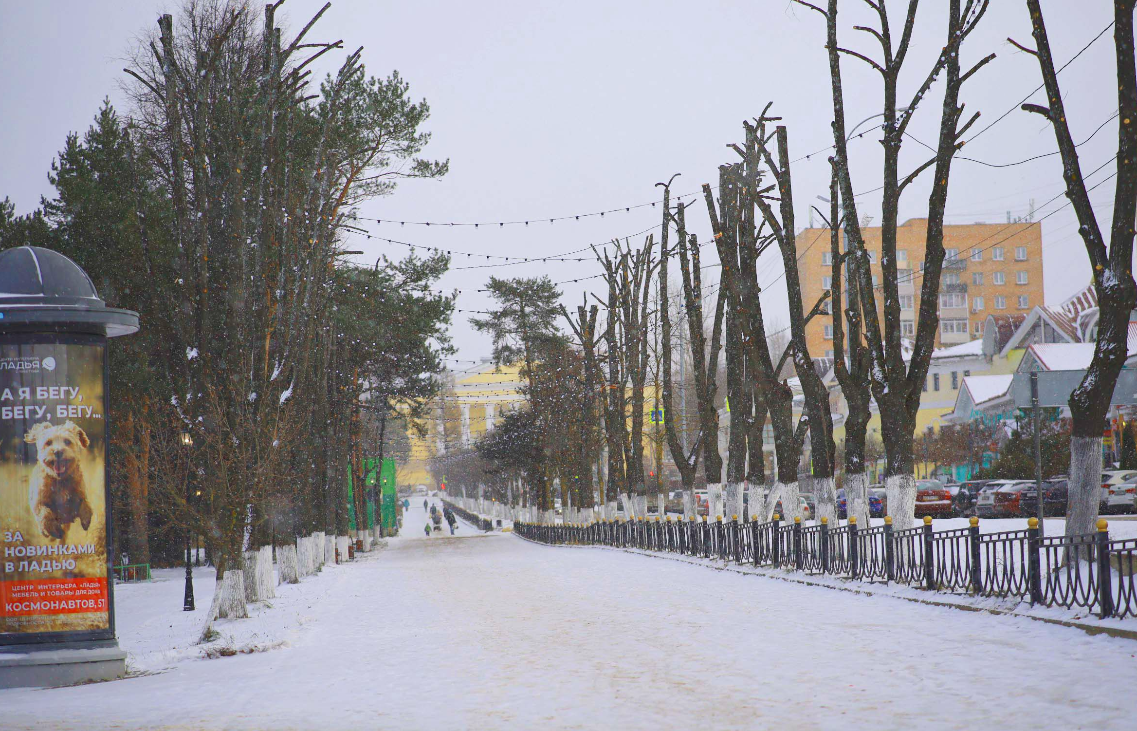 Непогода приближается: холодная атлантическая «Ольга» наметет сугробы в Дмитровском округе