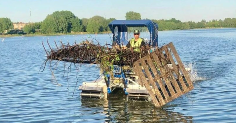 Два водоема в Пушкинском округе избавят от топляка, мусора и излишней растительности