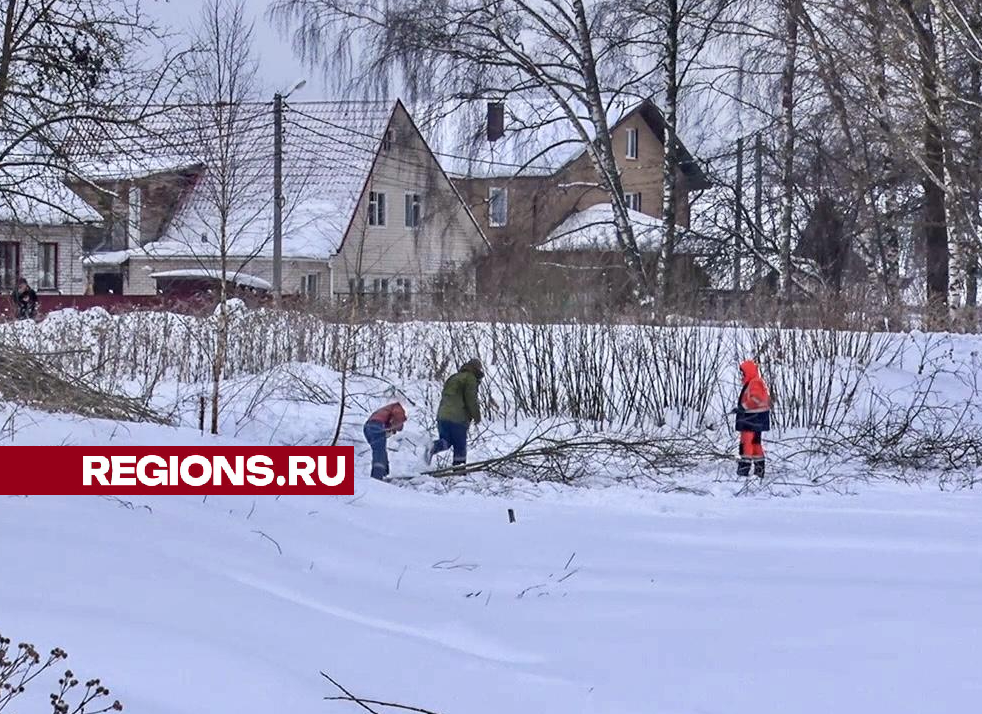 В западном микрорайона Клина расчистили пруд по просьбам местных жителей