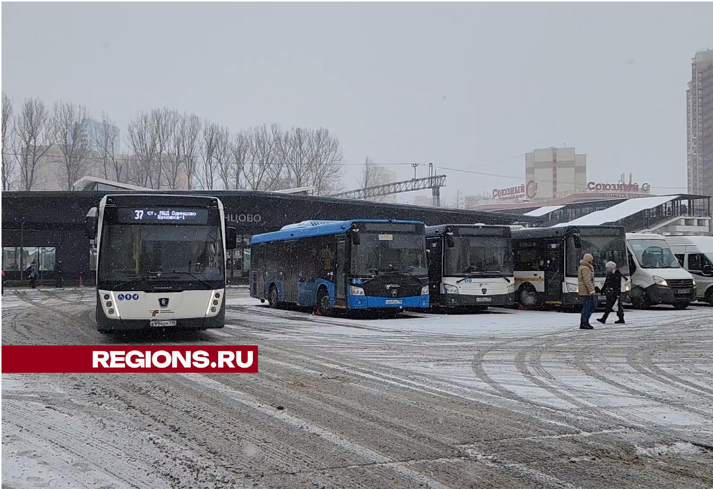Новые автобусы стали появляться на маршрутах общественного транспорта
