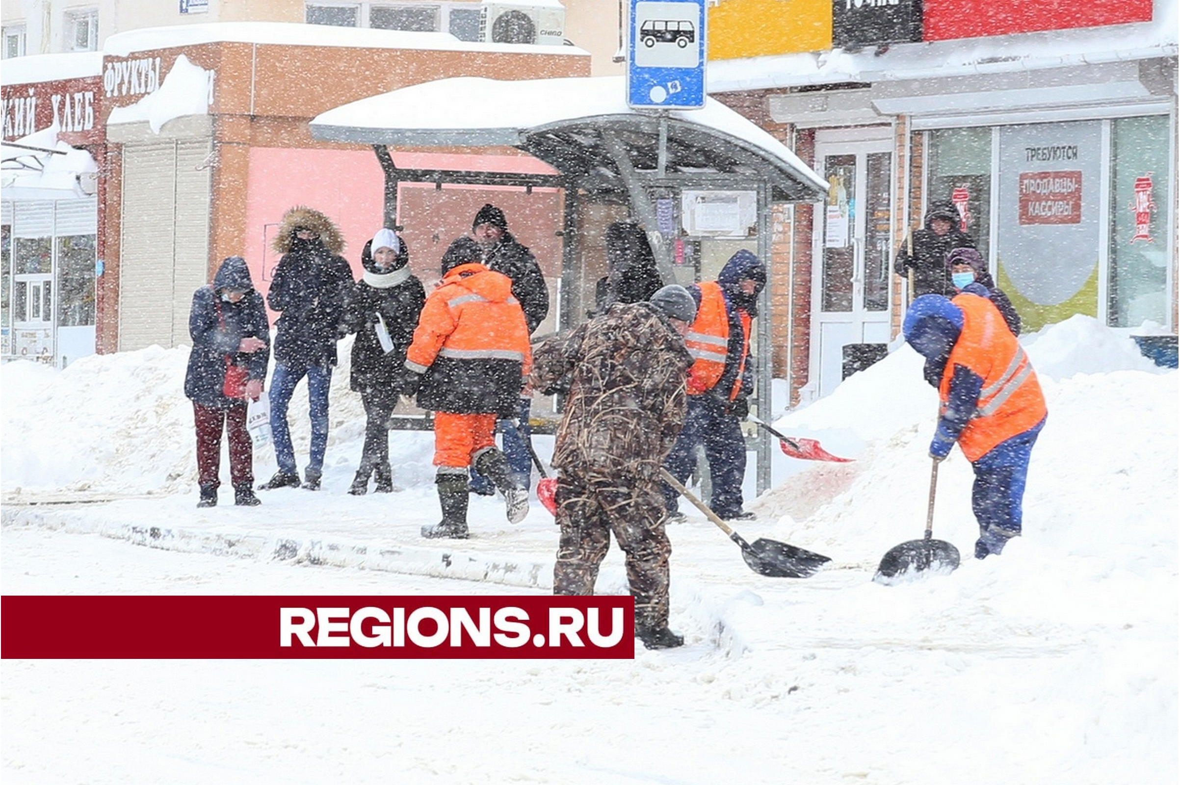 Черная» метель снова накрыла Москву и Подмосковье | REGIONS.RU / Луховицы