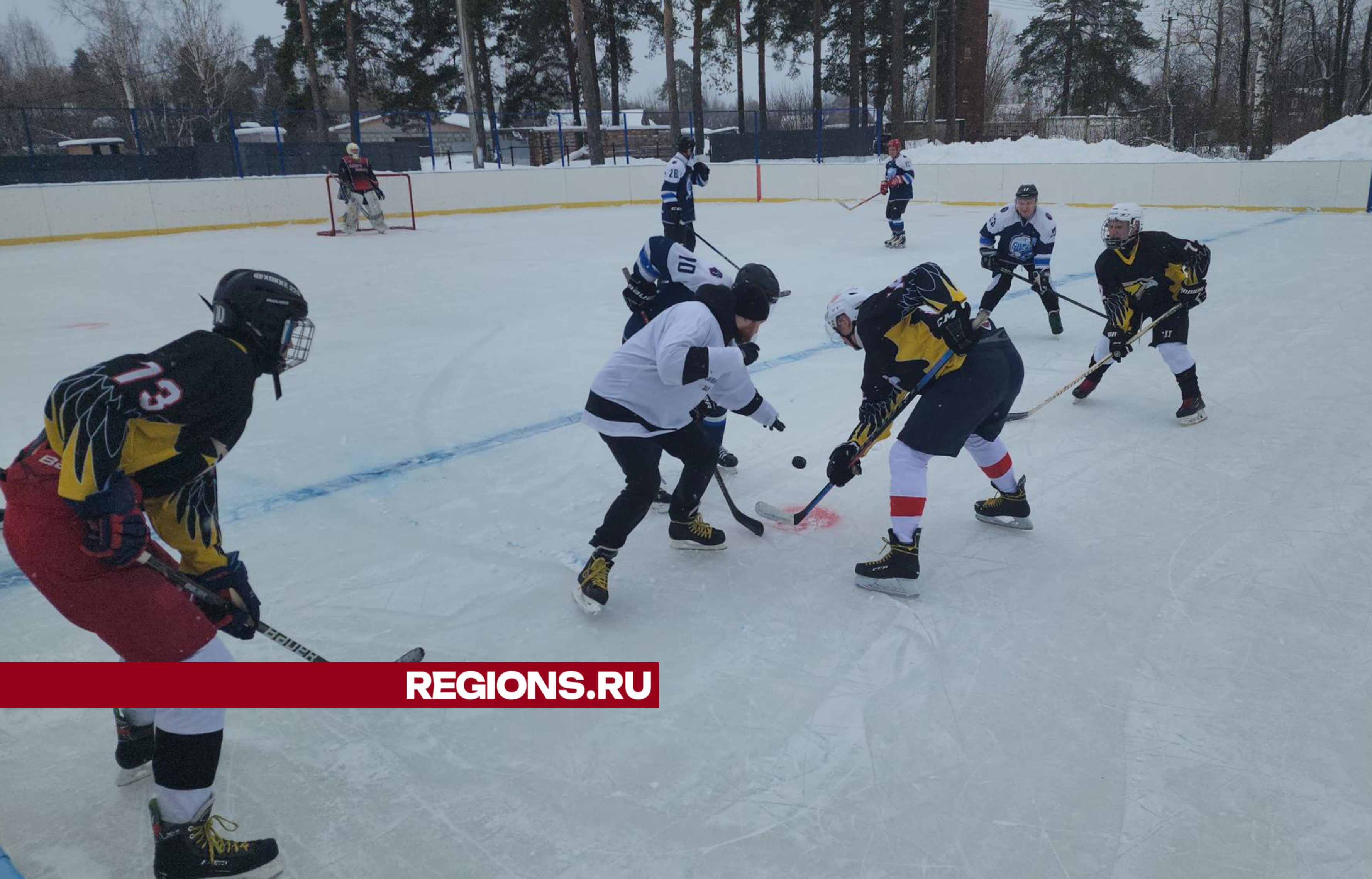 Хоккейный клуб «Ястребы» из Шатурторфа на своем льду обыграл команду «Озеро Белое»