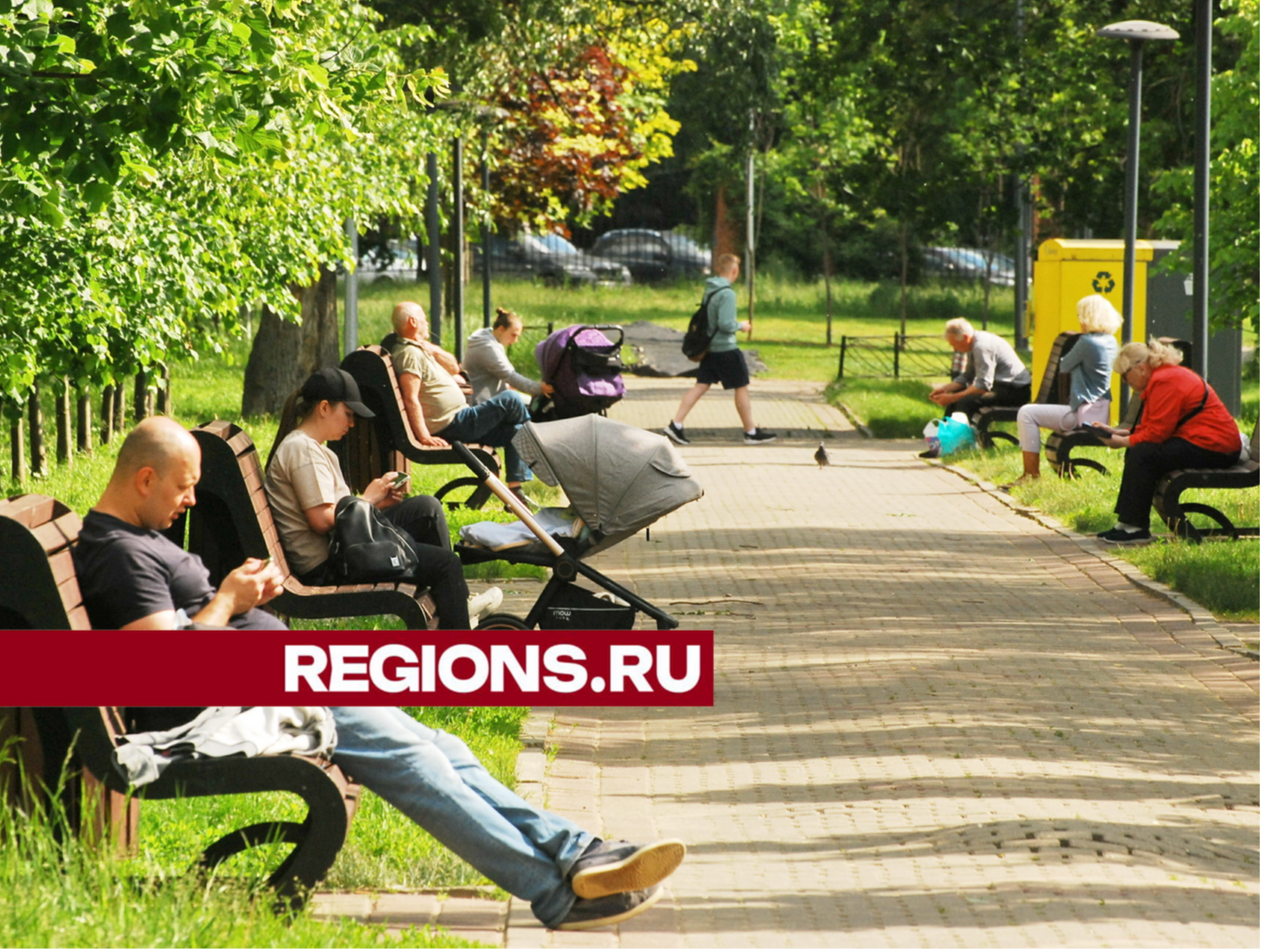 Парки Богородского округа отремонтируют к началу сезона | REGIONS.RU /  Ногинск