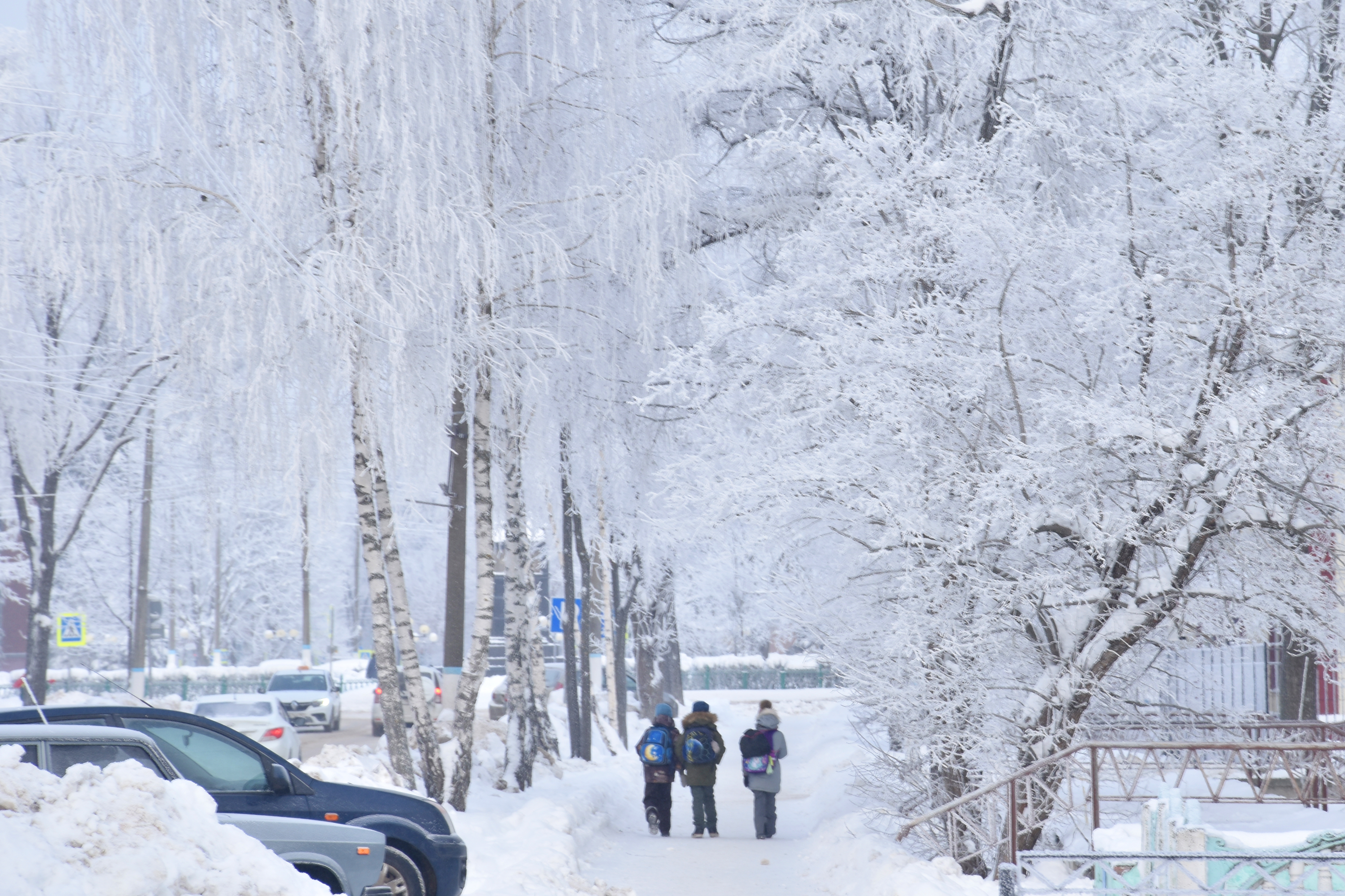 На Дмитровском шоссе вечером 20 февраля затруднено дорожное движение