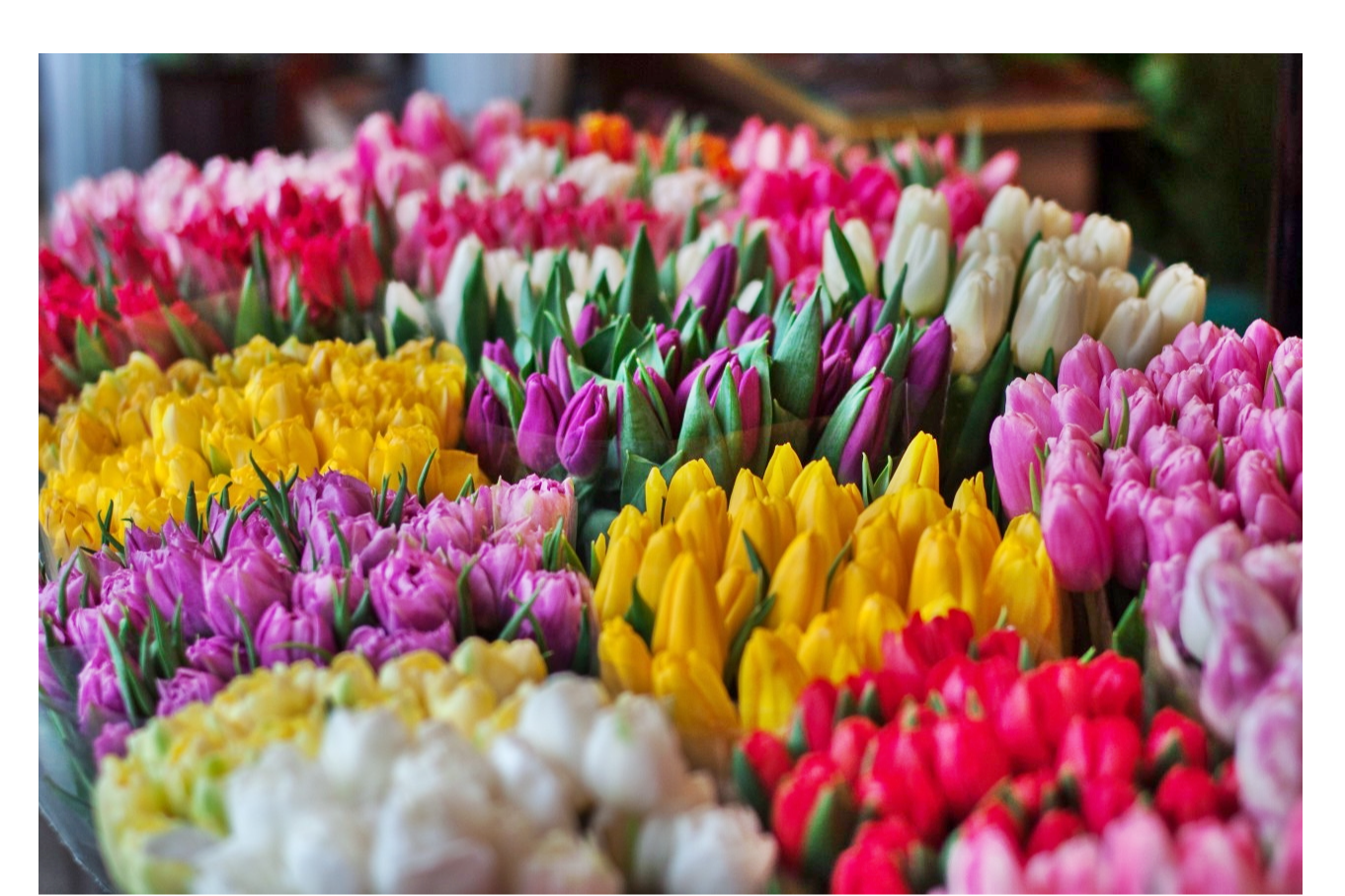 Букет цветов для любимых женщин  в Серпухове можно купить онлайн