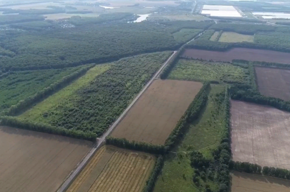 Черноголовцам стало проще получить данные о наличии мелиорируемых земель и особо ценных сельскохозяйственных угодий