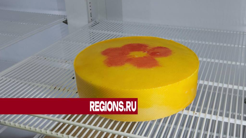 Студенты Волоколамска научились варить сыр