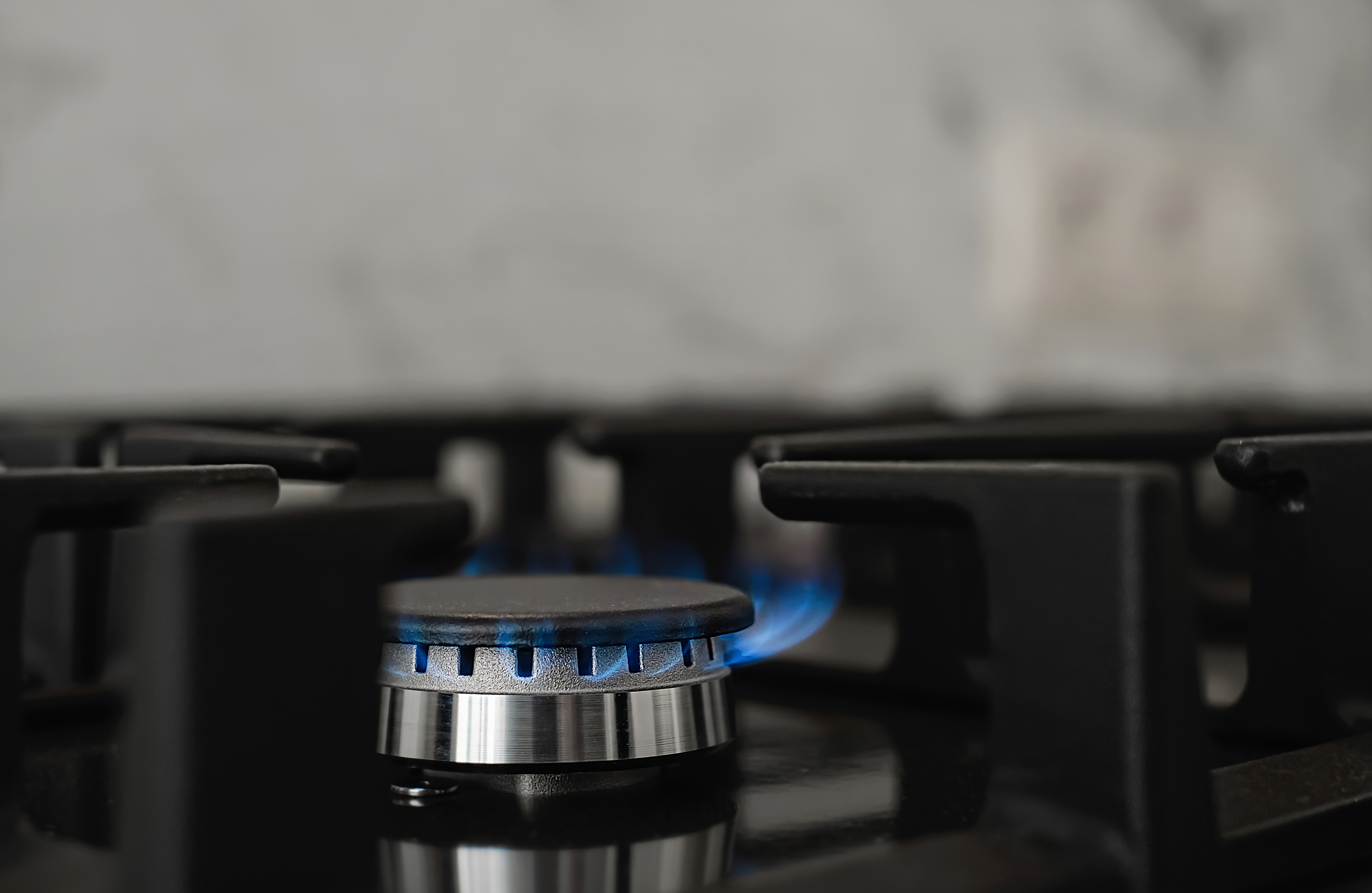 Плату за техобслуживание газового оборудования в квартире начисляет «Мособлгаз»