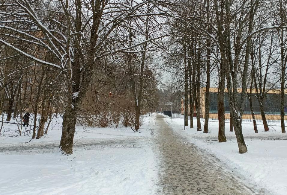 Черноголовцы могут выбрать народные тропы для благоустройства