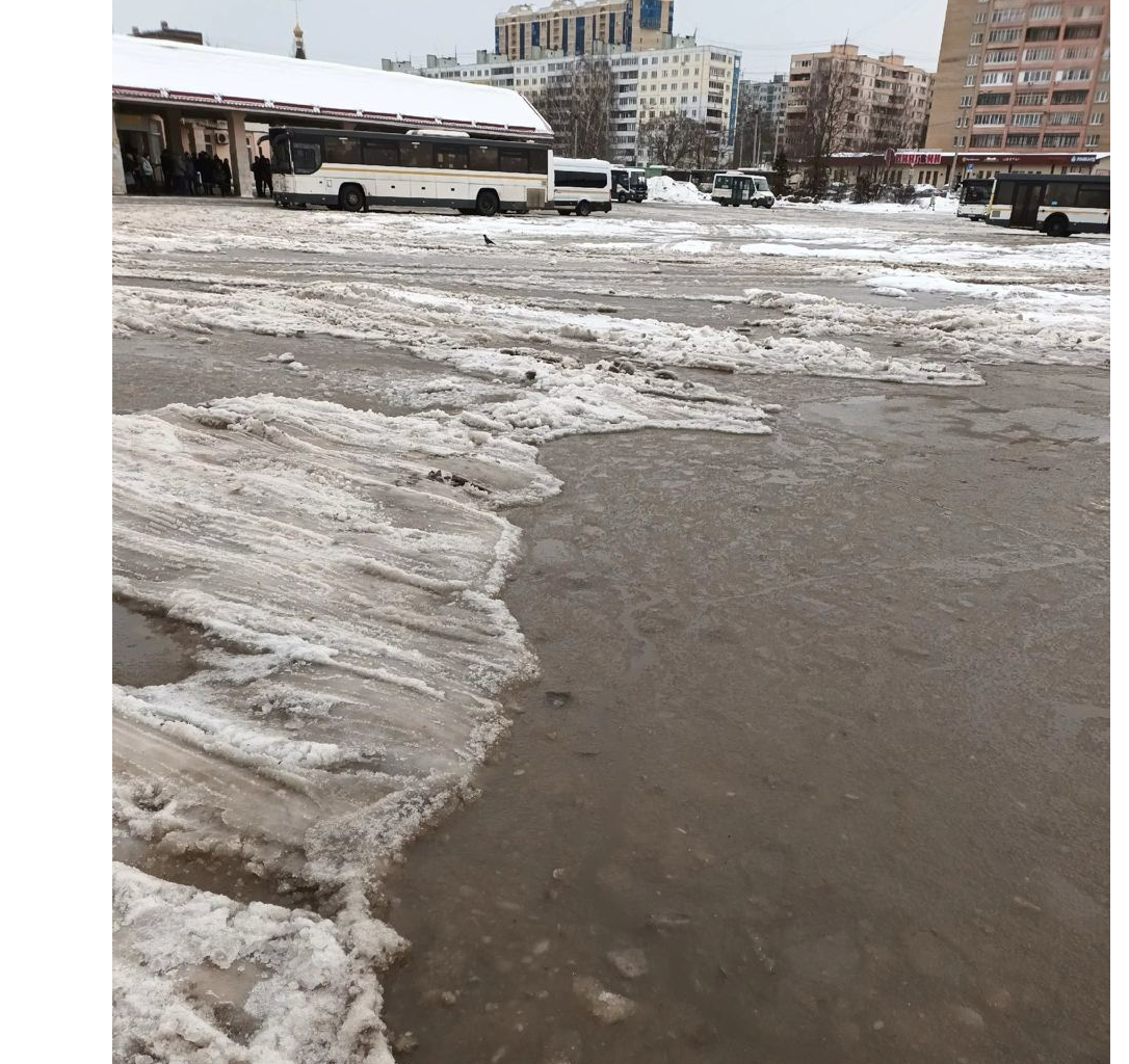 Территорию производственной базы в Дмитрове приведут в надлежащее состояние в ближайшие сутки