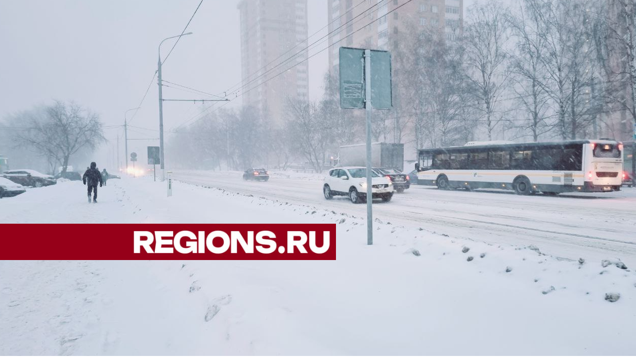 Снежный циклон «Ольга» стал причиной двух массовых ДТП на трассах Подмосковья