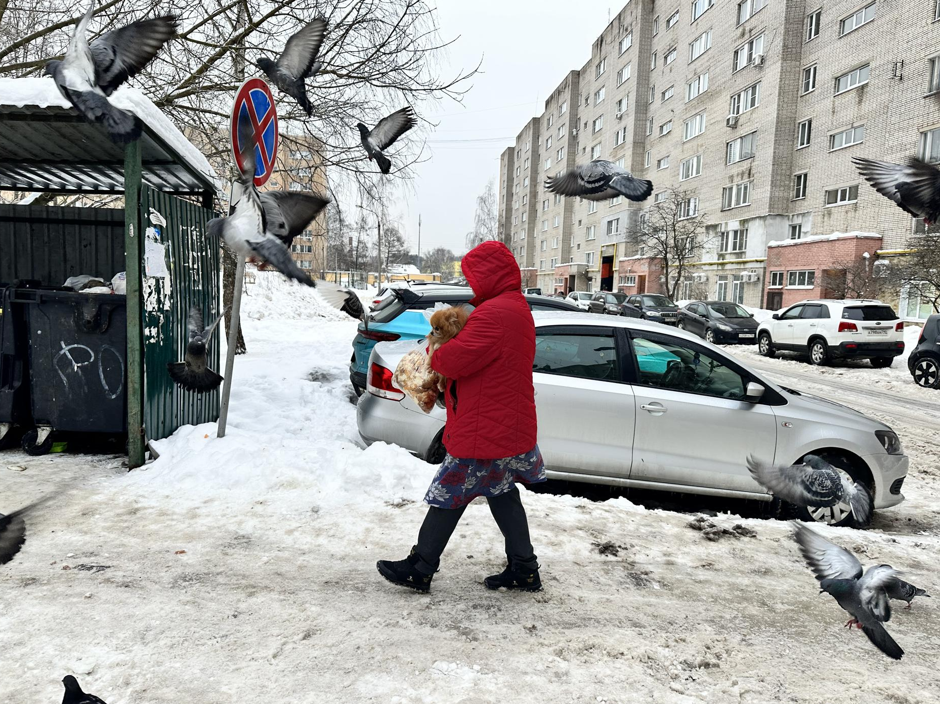 Штраф и штрафстоянка: установка знаков о запрете парковки у мусорных баков  дала результаты в Наро-Фоминске | REGIONS.RU / Наро-Фоминск