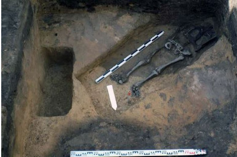 Средневековый некрополь обнаружили археологи в Дмитрове