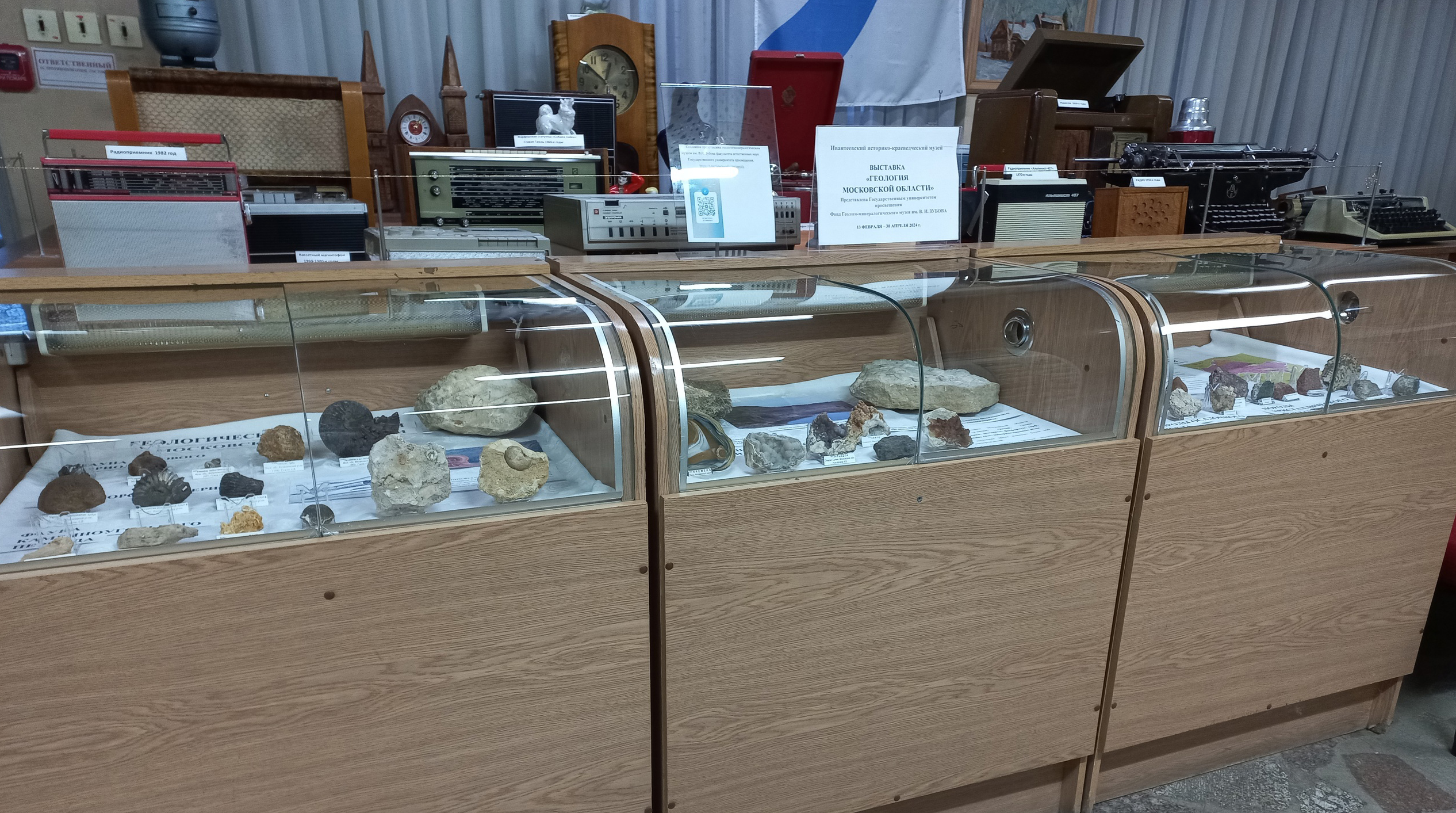 Посетителей музея в Ивантеевке познакомят с древней геологией Подмосковья