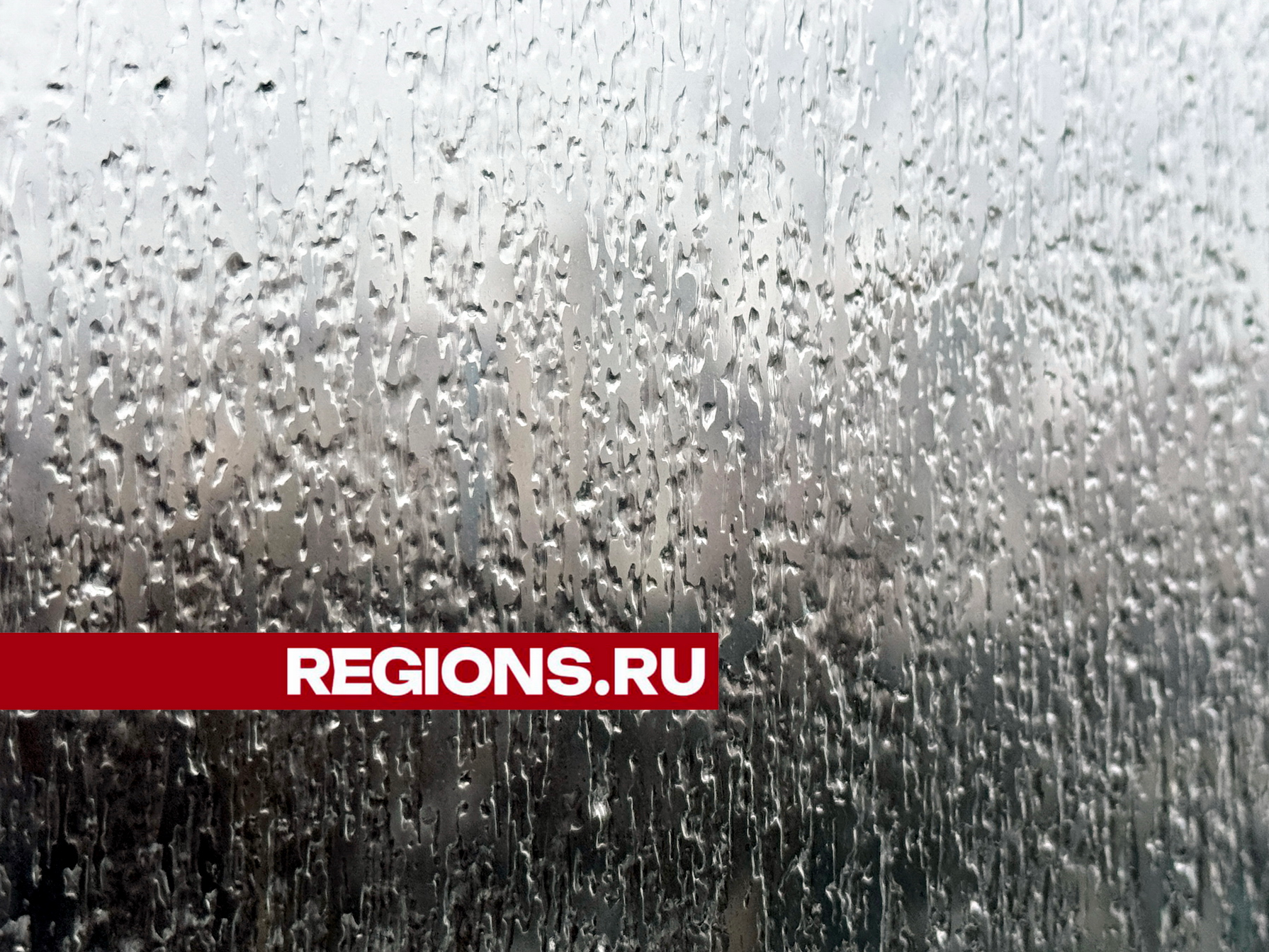 Непогода надвигается: в Москве и Подмосковье объявлено штормовое предупреждение