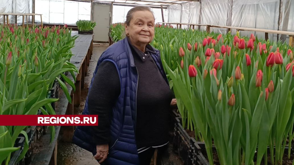 К 8 марта в Лобне вырастят 30 000 тюльпанов