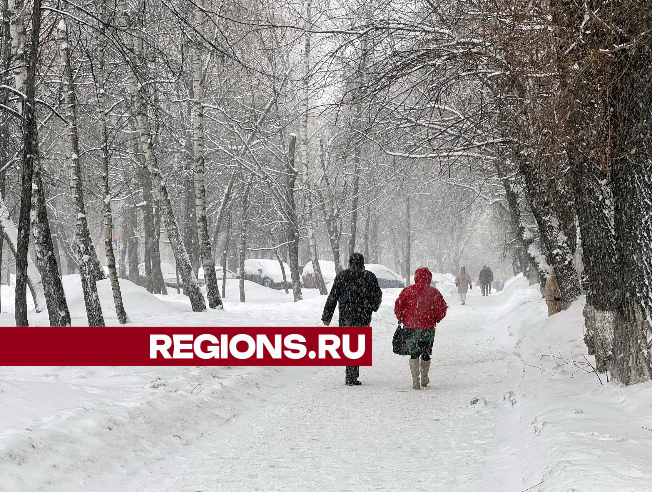 Рекордный уровень снега зафиксирован в Богородском округе