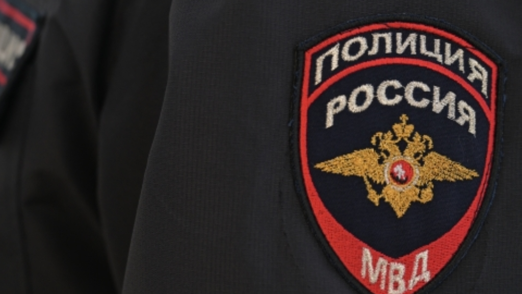 Правоохранители из Подмосковья расследуют массовую драку рядом с торговым центром в Волоколамске