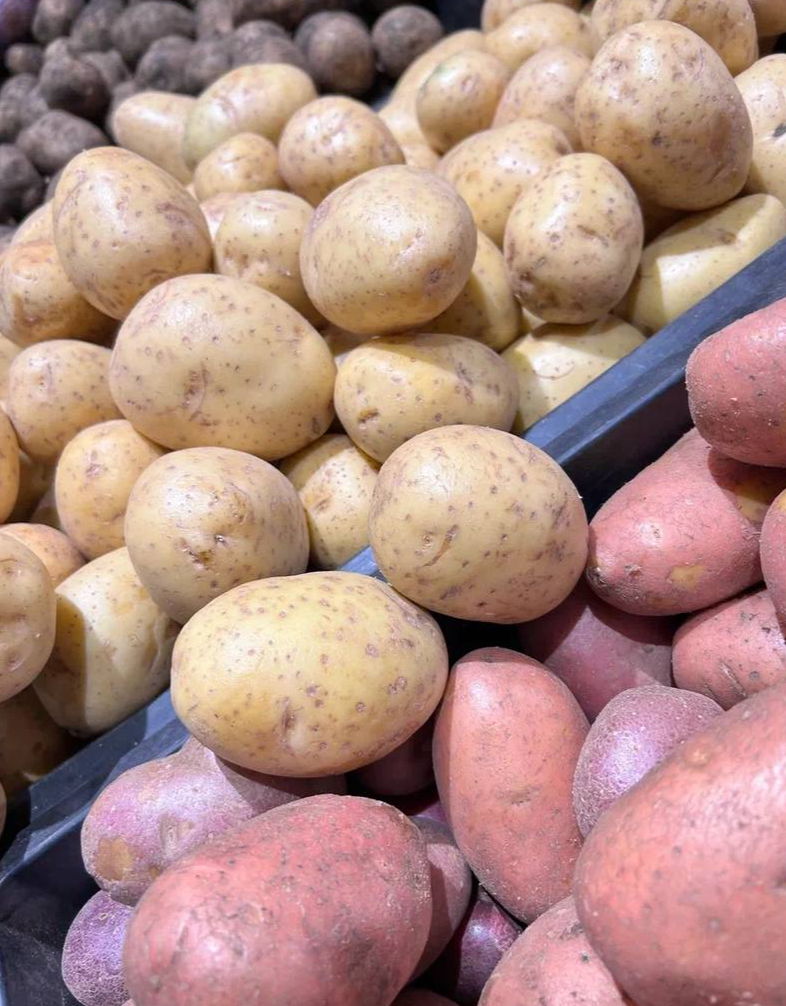 Дачники Электрогорска выбирают подмосковный семенной картофель