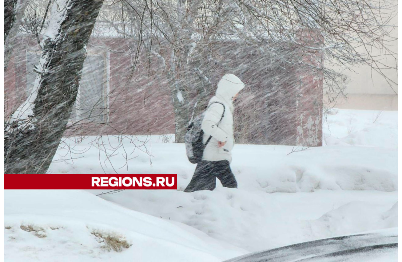 Циклон «Ольга» засыпал Можайск снегом и принес морозы | REGIONS.RU / Можайск