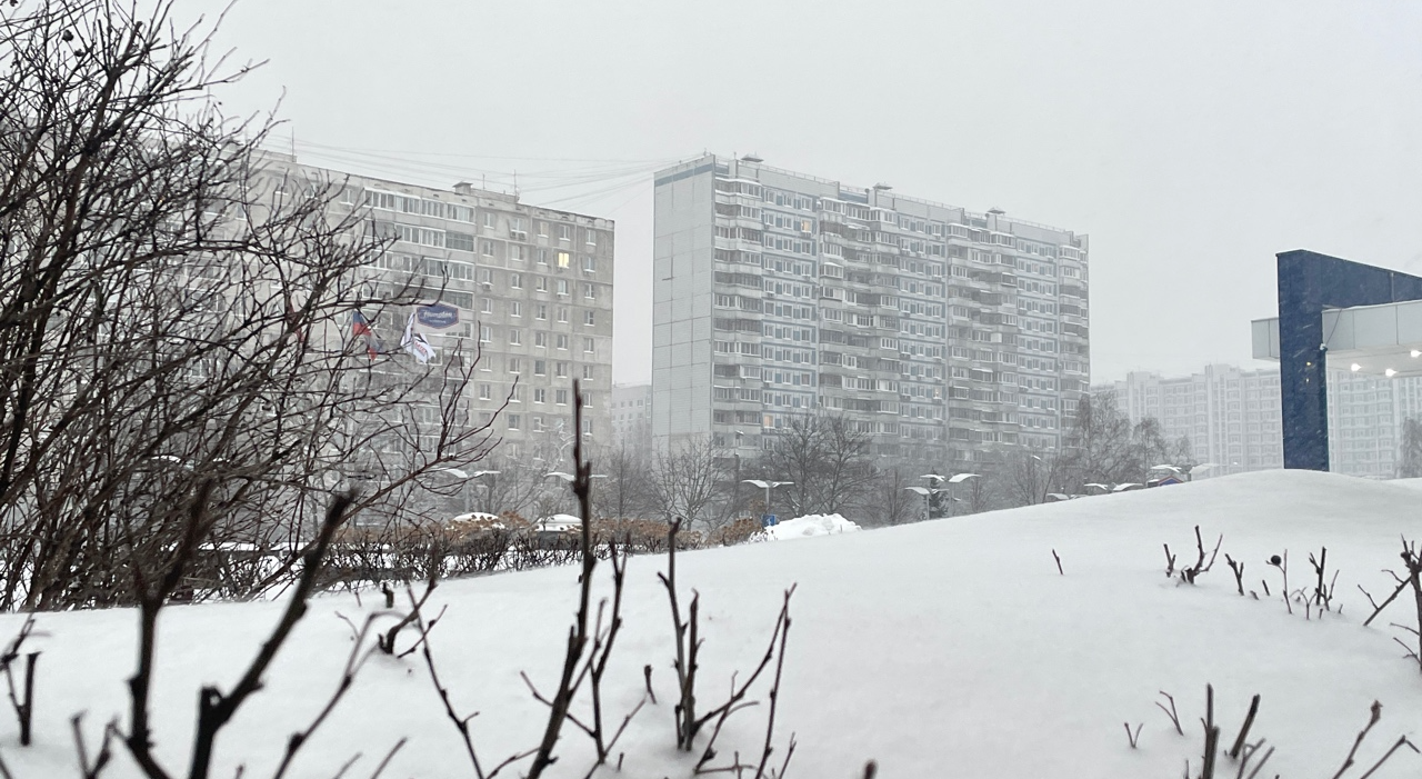 «Ольга» обрушилась со всей мощью: метеоролог раскрыла, чем закончится аномальный снегопад в Москве и Подмосковье