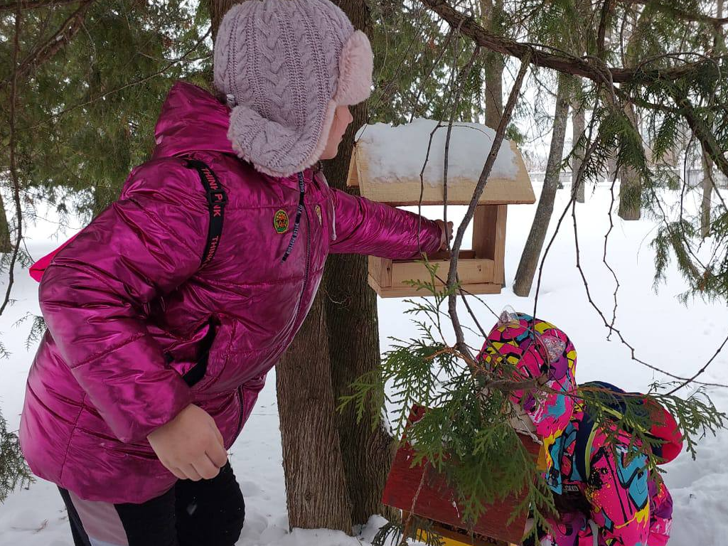 Лотошинским школьникам рассказали, чем нельзя кормить птиц зимой