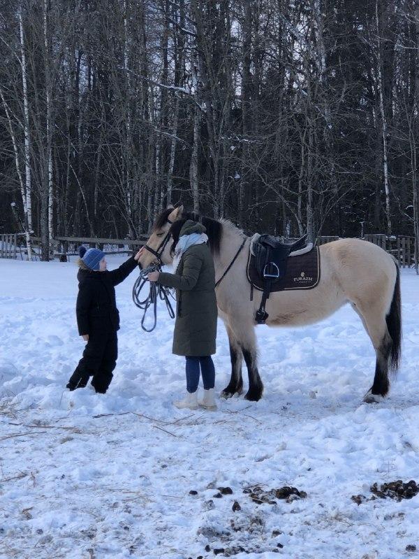 Воспитанники семейного центра «Наро-Фоминский» оседлали лошадей «Ранчо»